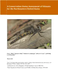 A Conservation Status Assessment of Odonata in the Northeastern US
