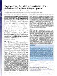 Structural Basis for Substrate Specificity in the Escherichia Coli