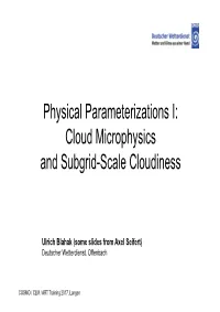 Cloud Microphysics and Subgrid-Scale Cloudiness