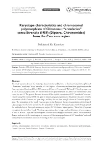 ﻿Karyotype Characteristics and Chromosomal Polymorphism Of