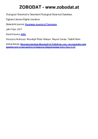 Article Begonia.Indd