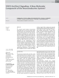 STAT3-Ser/Hes3 Signaling: a New Molecular Component of the Neuroendocrine System?