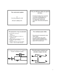 The Oculomotor System First You Tell Them What Your Gonna Tell Them The