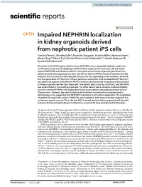 Impaired NEPHRIN Localization in Kidney Organoids Derived from Nephrotic Patient Ips Cells