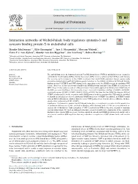 Interaction Networks of Weibel-Palade Body Regulators Syntaxin-3 and Syntaxin Binding Protein 5 in Endothelial Cells T