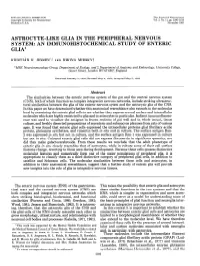 Astrocyte-Like Glia in the Peripheral Nervous System: an Immunohistochemical Study of Enteric Glia’