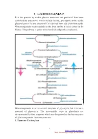 Gluconeogenesis 1