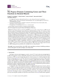 The Popeye Domain Containing Genes and Their Function in Striated Muscle