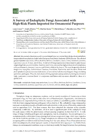 A Survey of Endophytic Fungi Associated with High-Risk Plants Imported for Ornamental Purposes