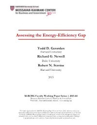 Assessing the Energy-Efficiency Gap