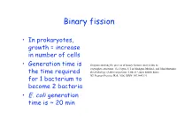 Binary Fission