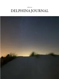 Delphina Journal NOI GALLURESI 1 5 STELLE