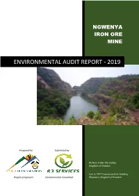 Environmental Audit Report - 2019