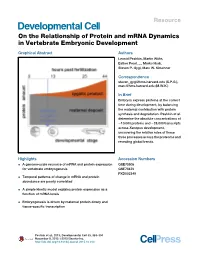 On the Relationship of Protein and Mrna Dynamics in Vertebrate Embryonic Development