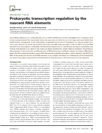 Prokaryotic Transcription Regulation by the Nascent RNA Elements
