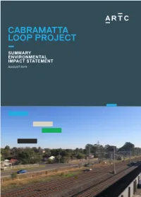 SUMMARY ENVIRONMENTAL IMPACT STATEMENT AUGUST 2019 Improving Rail Freight