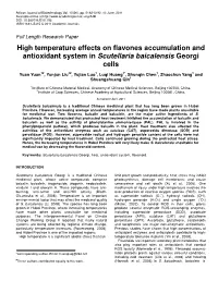 High Temperature Effects on Flavones Accumulation and Antioxidant System in Scutellaria Baicalensis Georgi Cells