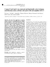 Caspase-9 and Apaf-1 Are Expressed and Functionally Active in Human Neuroblastoma Tumor Cell Lines with 1P36 LOH and Ampli®Ed MYCN
