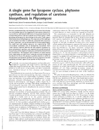 A Single Gene for Lycopene Cyclase, Phytoene Synthase, and Regulation of Carotene Biosynthesis in Phycomyces
