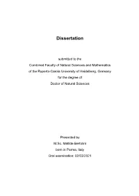 Dissertation
