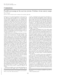 Parallel Processing in the Nervous System: Evidence from Sensory Maps Eric D