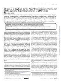 Structure of Soybean Serine Acetyltransferase