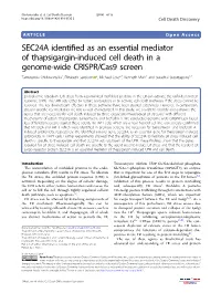 SEC24A Identified As an Essential Mediator of Thapsigargin-Induced