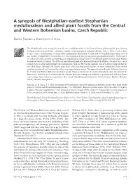 A Synopsis of Westphalian–Earliest Stephanian Medullosalean and Allied Plant Fossils from the Central and Western Bohemian Basins, Czech Republic