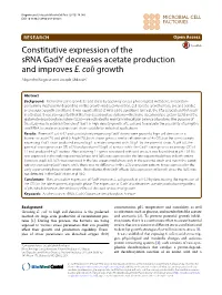 Constitutive Expression of the Srna Gady Decreases Acetate Production and Improves E