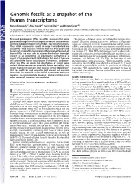Genomic Fossils As a Snapshot of the Human Transcriptome