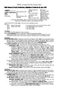 MARE, Consigned by New England Stud