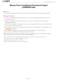 Mouse Psca Conditional Knockout Project (CRISPR/Cas9)