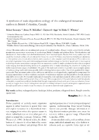 A Synthesis of Scale-Dependent Ecology of the Endangered Mountain Caribou in British Columbia, Canada