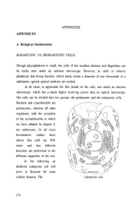 APPENDICES A. Biological Fundamentals EUKARYOTIC VS