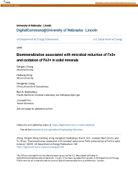 Biomineralization Associated with Microbial Reduction of Fe3+ and Oxidation of Fe2+ in Solid Minerals