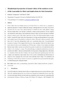 Of the Laurentide Ice Sheet and Implications for Their Formation