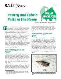Stored Product Pests