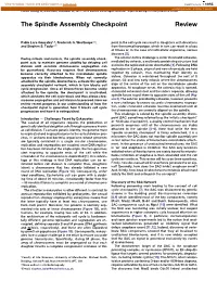 The Spindle Assembly Checkpoint Review