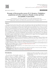 Dynamic of Brassicogethes Aeneus (F.) (Coleoptera, Nitidulidae
