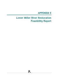 APPENDIX E Lower Miller River Restoration Feasibility Report