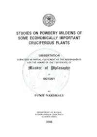 3Ijilosopi)J> E! R in {{ BOTANY