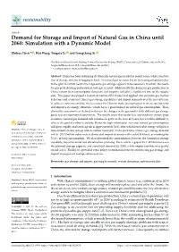 Demand for Storage and Import of Natural Gas in China Until 2060: Simulation with a Dynamic Model