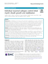 Individual Neuronal Subtypes Control Initial Myelin Sheath Growth and Stabilization Heather N