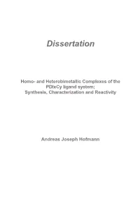 Dissertation