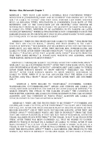 Maaseroth.Pdf