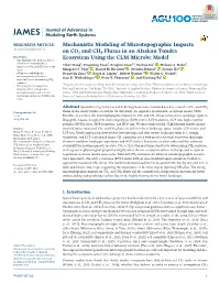 Mechanistic Modeling of Microtopographic Impacts on CO2