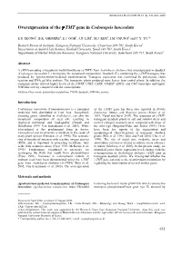 Overexpression of the Γ-TMT Gene in Codonopsis Lanceolata