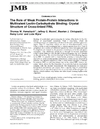 The Role of Weak Protein-Protein Interactions in Multivalent Lectin-Carbohydrate Binding: Crystal Structure of Cross-Linked FRIL