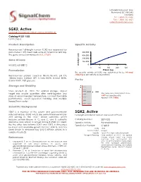 SGK2, Active Full-Length Recombinant Protein Expressed in Sf9 Cells