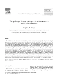 The Polyvagal Theory: Phylogenetic Substrates of a Social Nervous System